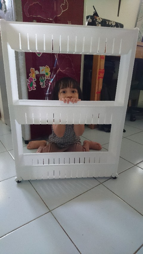 Shabbhy Rak Dorong Sudut Alat Dapur Kamar Mandi Organizer