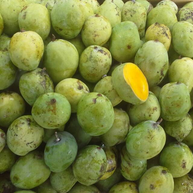 

Mangga indramayu