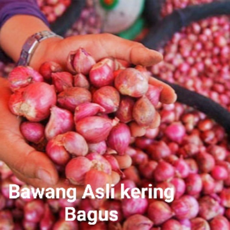 

Jualbawangmerah Bawangmerah Bawangmerahmurah Isi 250grm