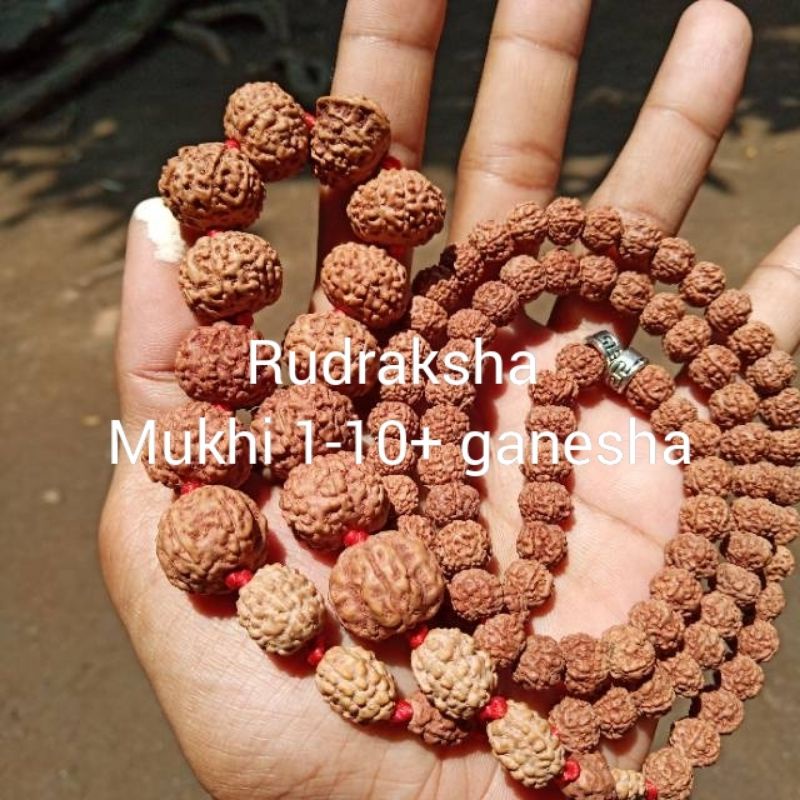 rudraksha mukhi 1-mukhi 10 + ganesha