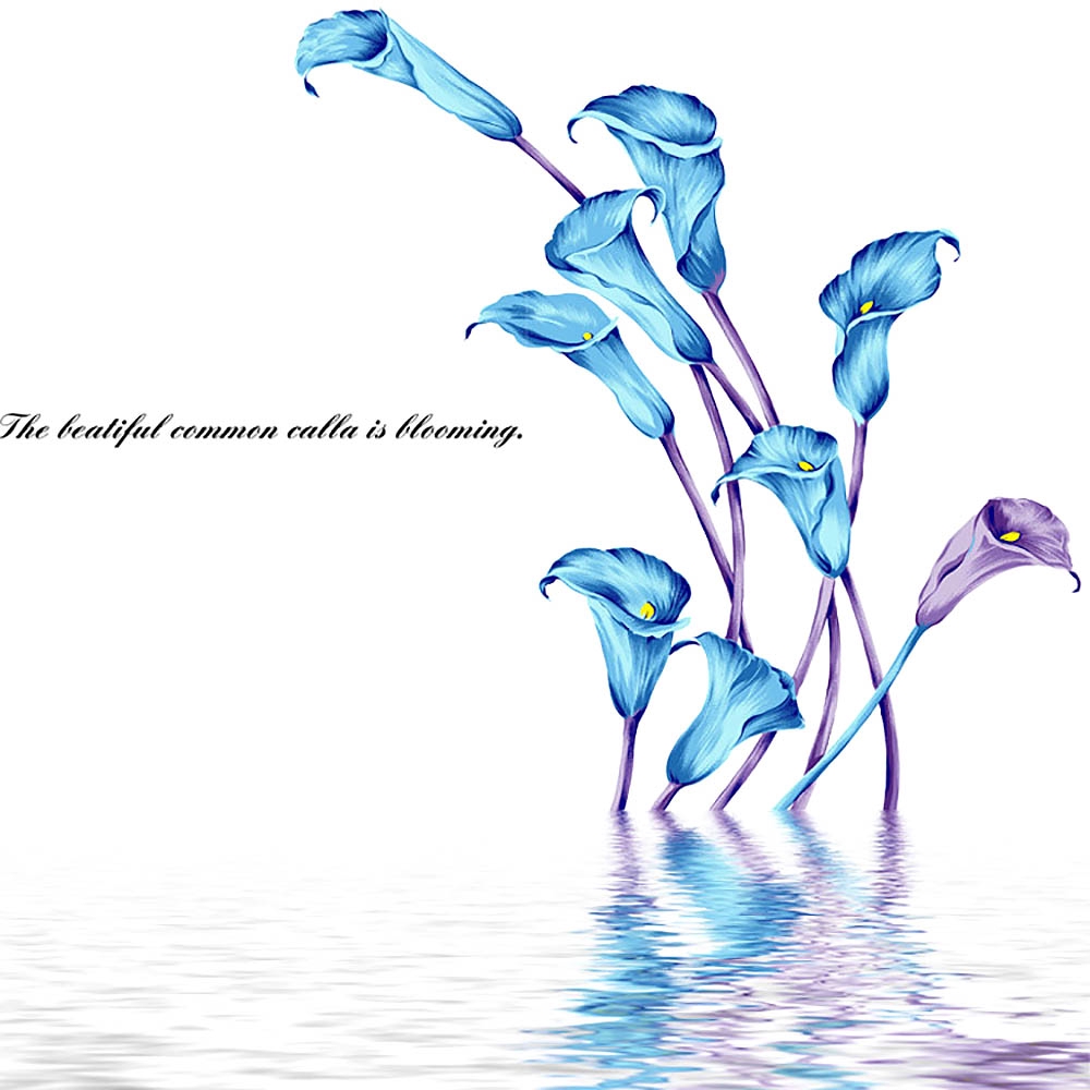 Paling Populer 13 Gambar Bunga Calla Lily Gambar Bunga Paling Populer 13 Gambar Bunga Calla Lily Gambar Bunga