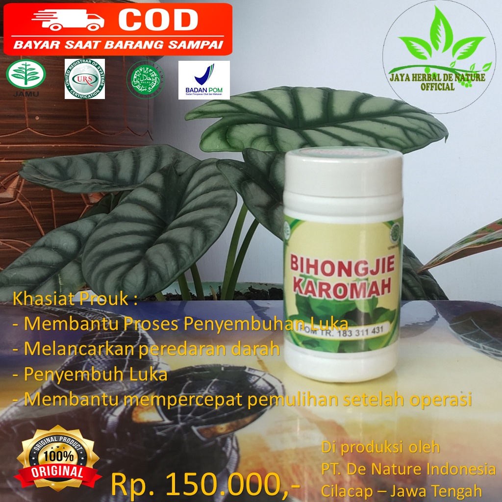 BIHONGJIE Kapsul ekstark daun binahong Herbal Pemulih luka pasca oprasi alami de nature / obat radan