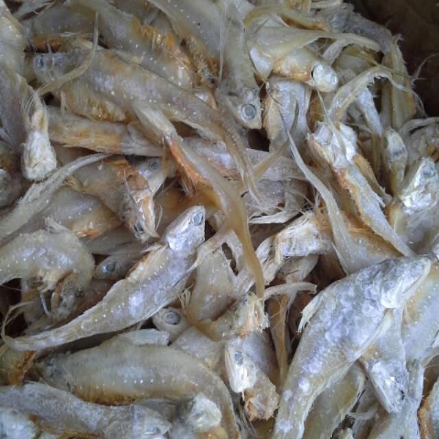 

100gr ikan Asin Bulu ayam super premium