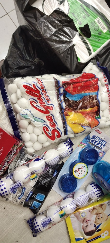 Dahlia Kamper Color Ball [k-27]