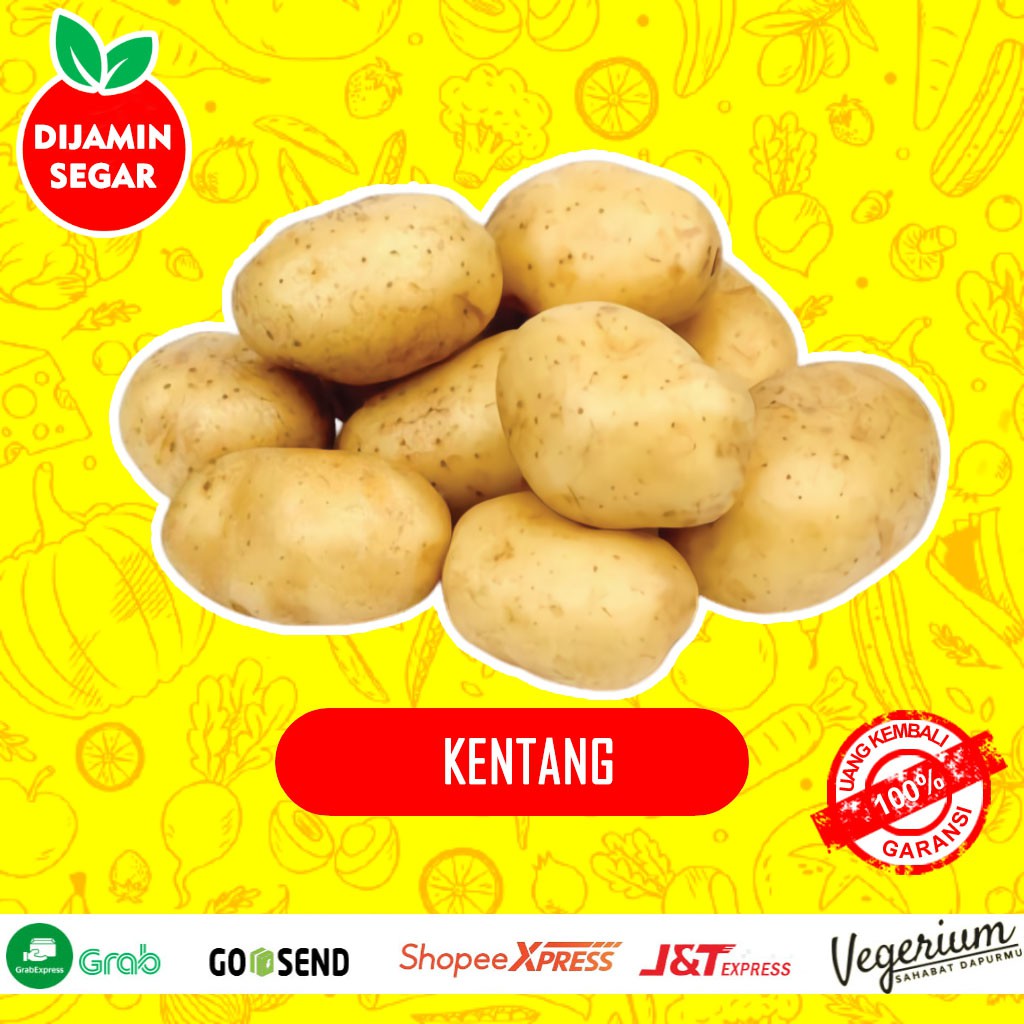 

Kentang Potato Sayur Sayuran Segar Fresh Kualitas Super Premium