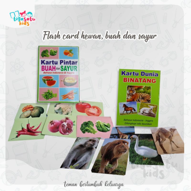 Bundling Flashcard Hewan + Sayur dan Buah