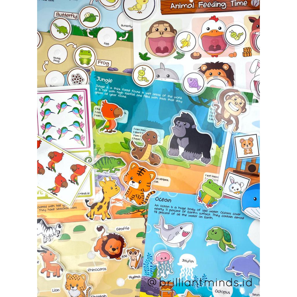 Animal Series Activity Binder Busy Book / mainan edukasi / montessori toy / educational toy