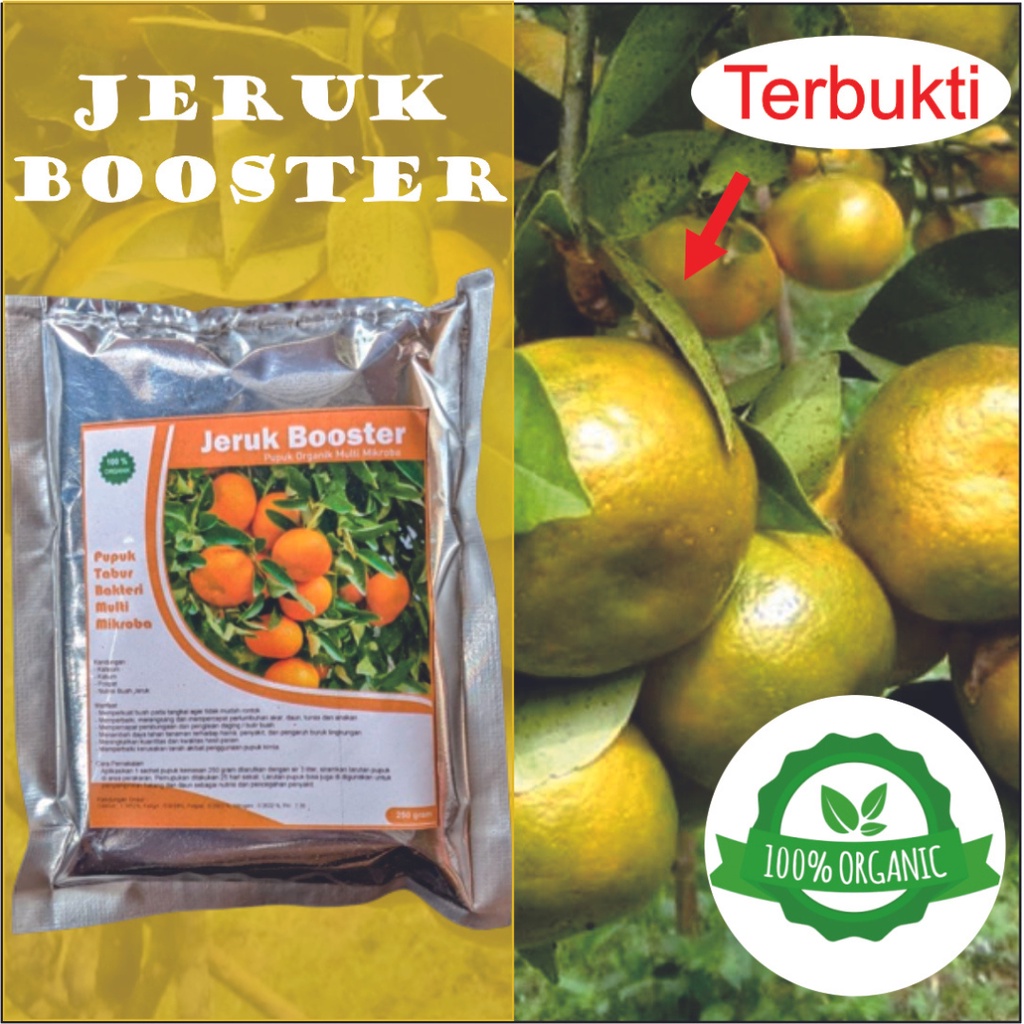 PUPUK BOOSTER JERUK || PUPUK JERUK || PERANGSANG BUAH