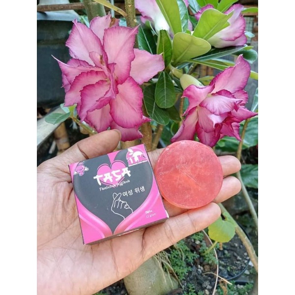 SABUN TASA (FREE BROSUR) ORIGINAL 100%