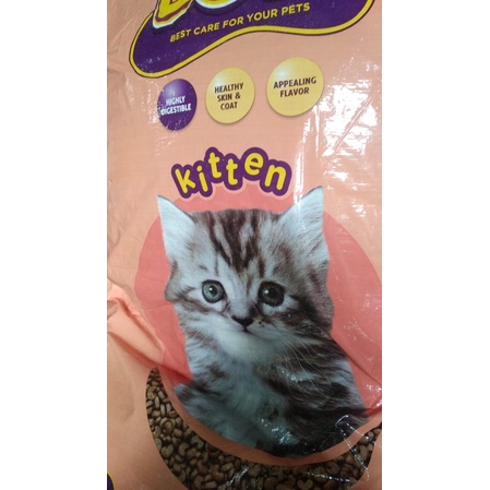 BOLT KITTEN single pack 1kg