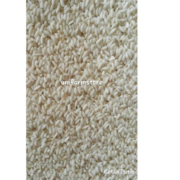 

Limited Product--Beras Ketan Putih Super 1KG