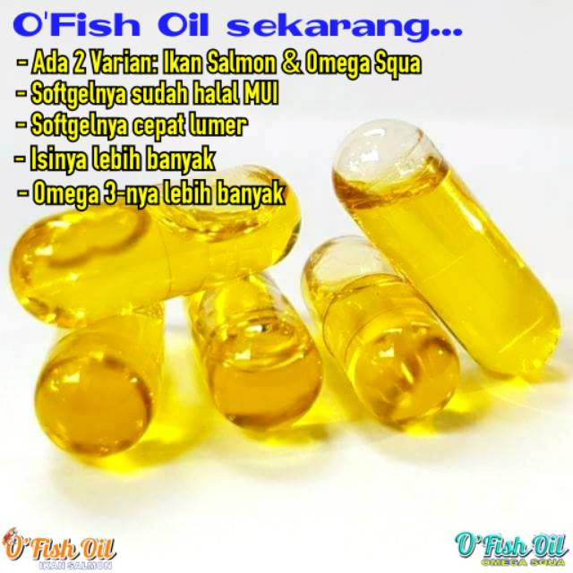 Best Seller Penambah Nafsu Makan Minyak Ikan Salmon Ofish Oil Murah Ofish Shopee Indonesia