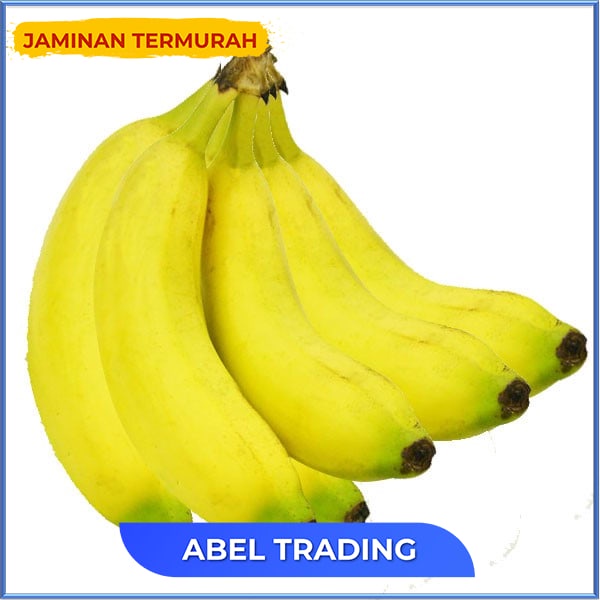 

Pisang Cavendist Super 1050 Gr