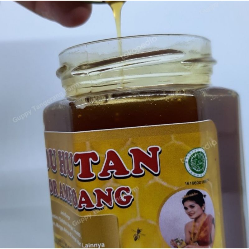 

Madu Hutan Amfoang