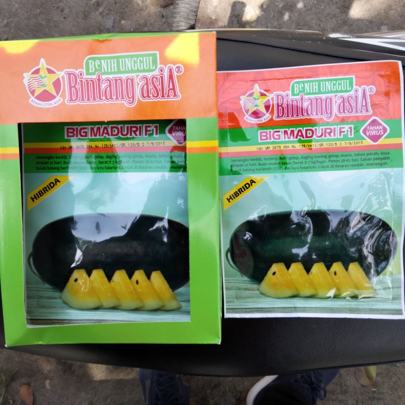 Benih semangka Big Maduri f1 Bintang asiA tahan virus