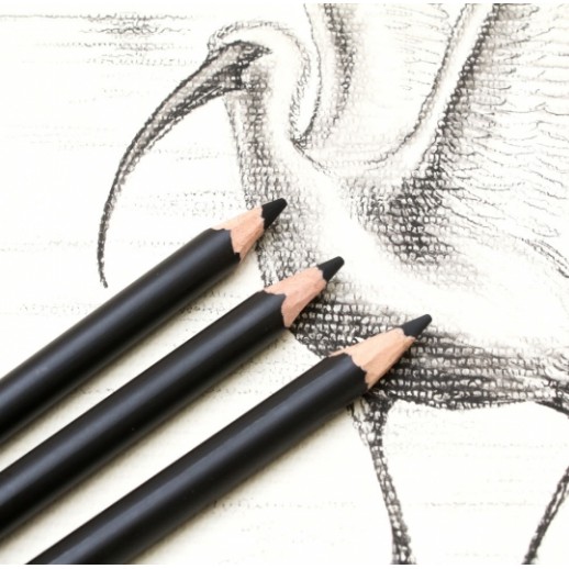 Mont Marte - 12 Charcoal Pencils Set