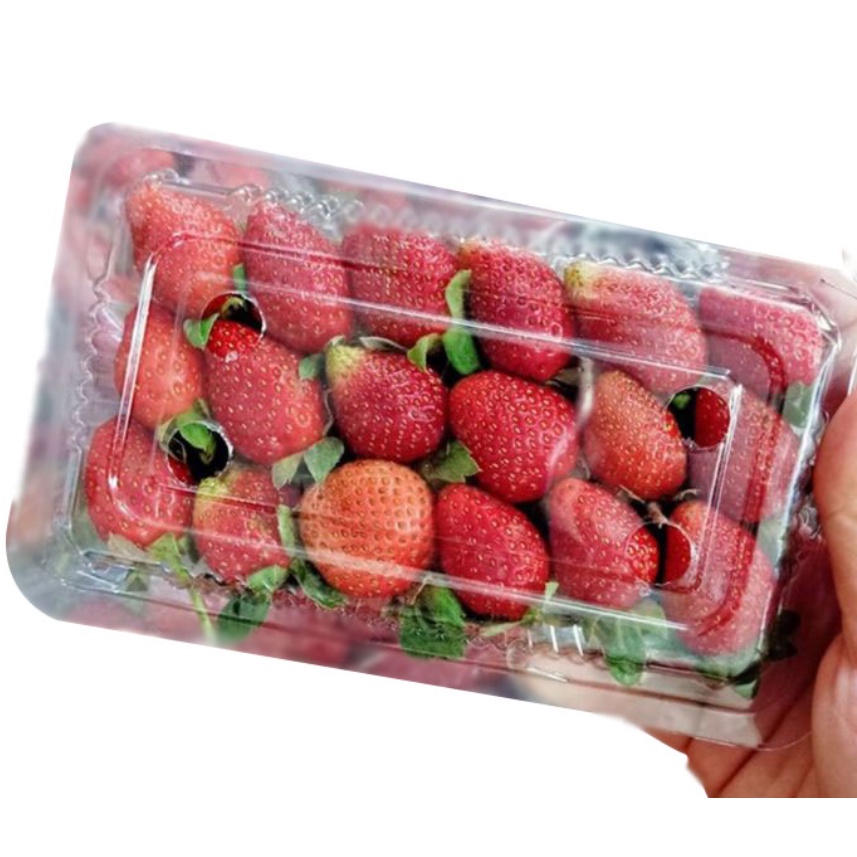 

Strawberry 1 pack 140 gr