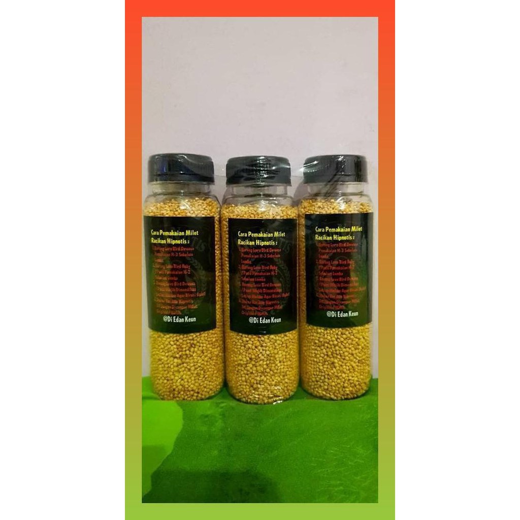 PAKAN LOVEBIRD LOMBA HIPNOTIS BUAT DEWASA || LOVEBIRD FIGHTER &KONSLET