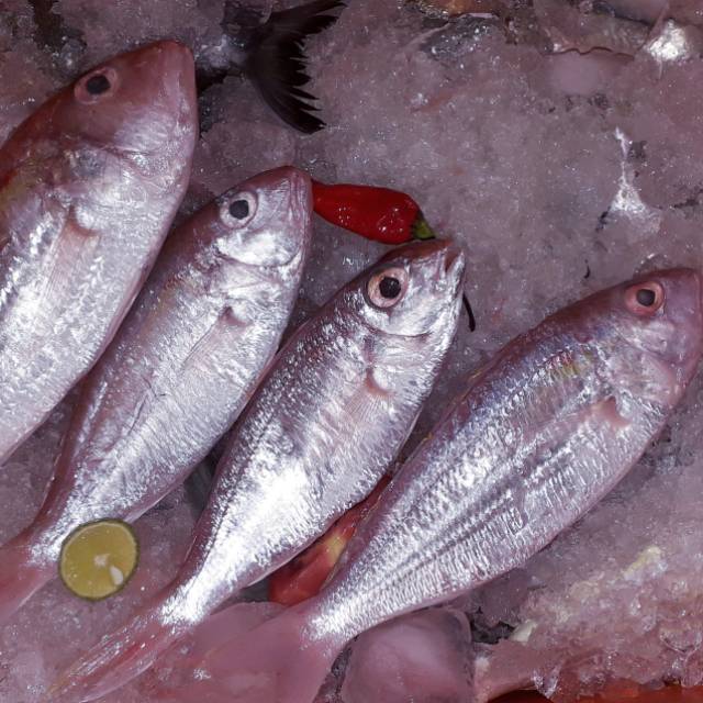 

TERBATASSS!!! Ikan krisi segar / harga 1/2 kg
