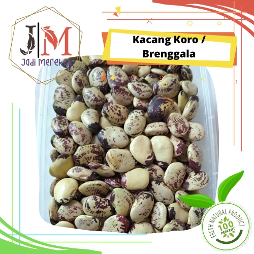 

[JM SoFresh] - Kacang Koro Besar / Brenggala