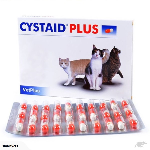 Cystaid Plus 1 Kapsul Obat Untuk Masalah Saluran Kencing Shopee Indonesia