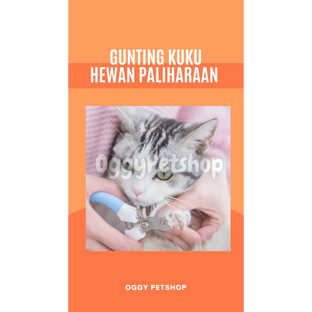 gunting kuku hewan peliharaan kucing anjing kelinci dll