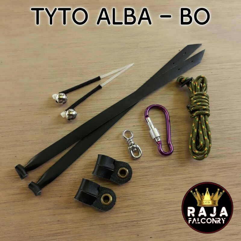 Barn owl - Tyto alba / Anklet angklet gelang kaki burung hantu Elang