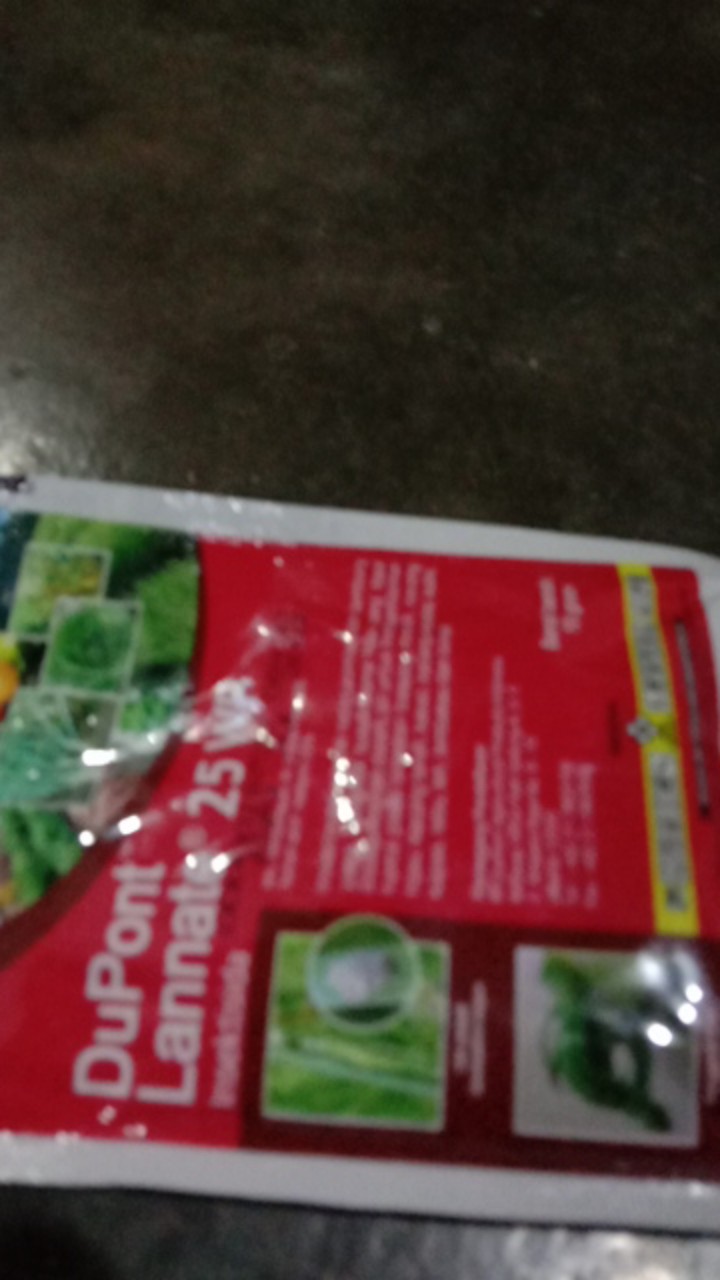 Obat Ulat Penggerek Batang Dan Belalang Lannate 25 Wp Kemasan 15 Gram