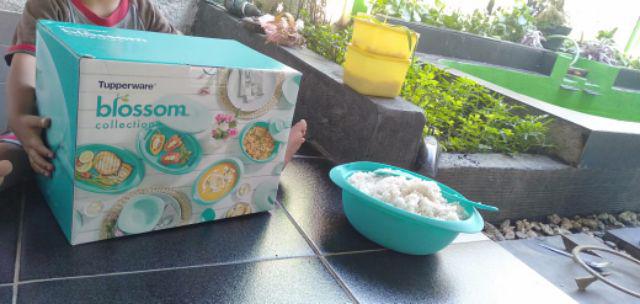 Bloomia Collection Set/blossom Collection Set Tosca