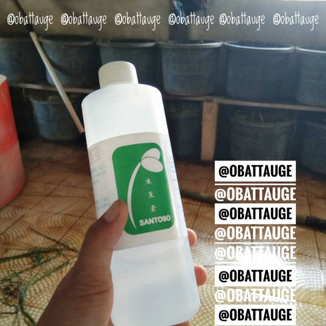 Obat Toge Santoso