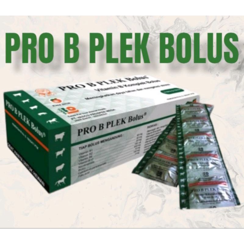 Pro B plek bolus 1 BOX (50 bolus) vitamin B kompleks sapi kambing