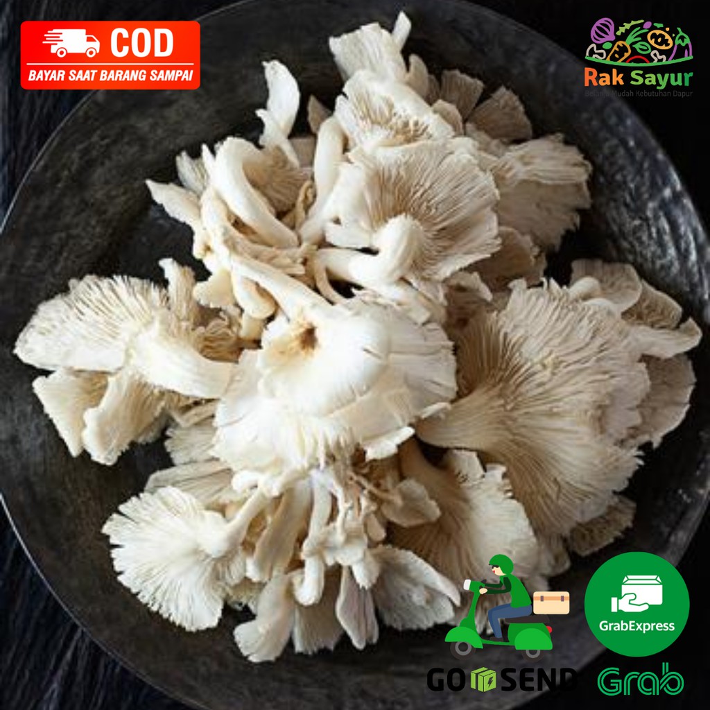 

Sayuran Segar Rak Sayur Padang Fresh Jamur Tiram per Pack Bungkus Sayur Sop