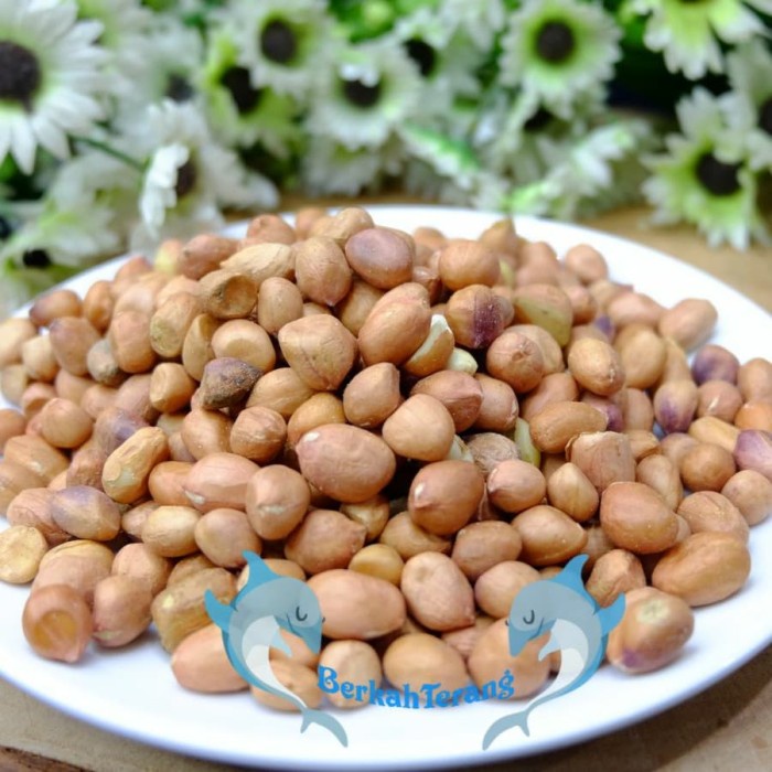 

q20w1q1qw Kacang Tanah Tuban Super 1Kg - Kulit Dscscv