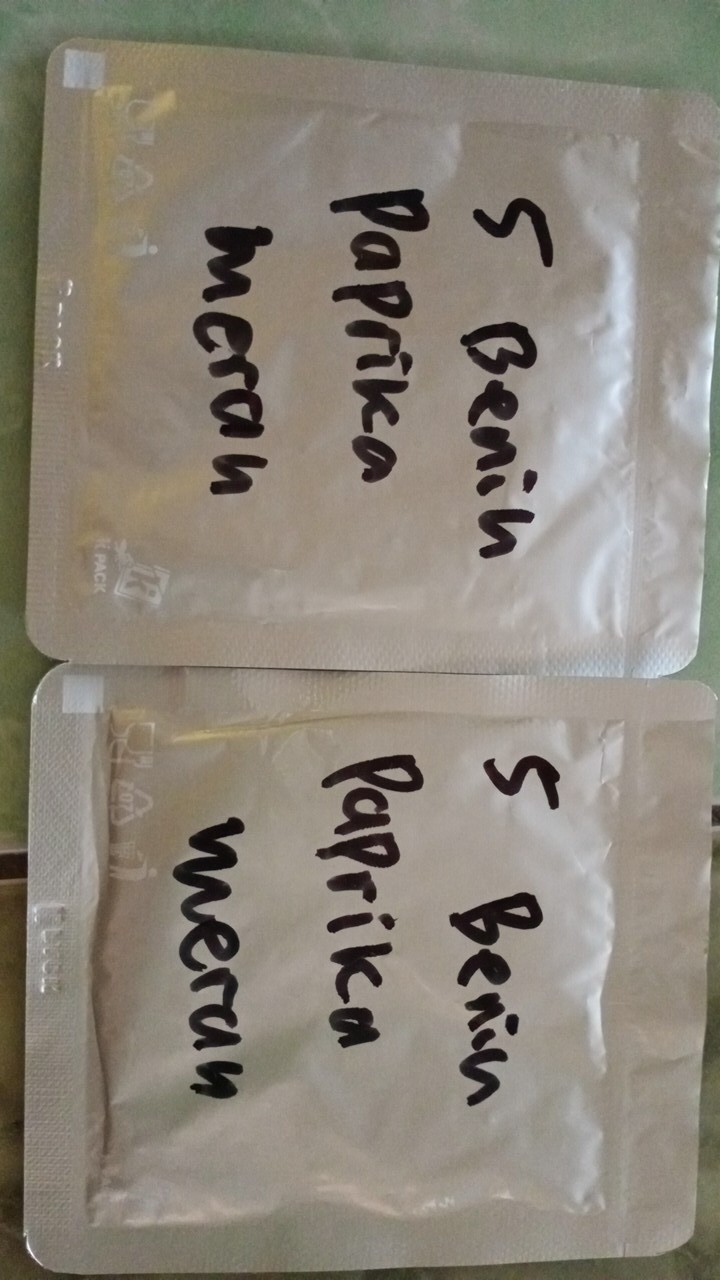 5 Biji Benih Paprika Merah