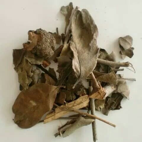 

Sang Ji Sheng Mulberry Herb 100 gram
