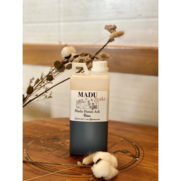 

MADU HUTAN ASLI MADU SYAKI BESAR