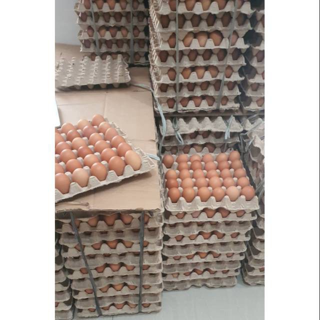 

Telur Ayam Negeri