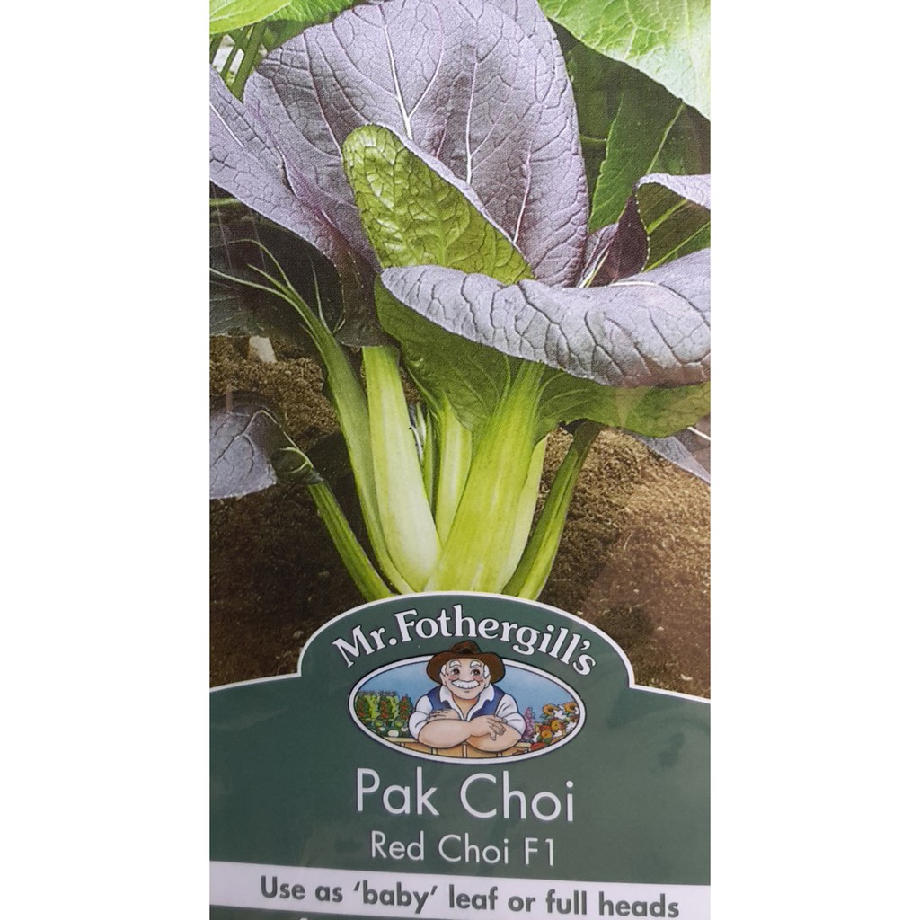 Benih Pak Choy Merah RED CHOI 5 BIJI bibit sayur sawi sendok import hidroponik pakchoy bok coi  F1 Mr Fothergills