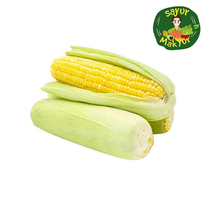 

Jagung Segar Lokal 1 kilogram | Sayur Mak Yur Medan | sayurmakyur