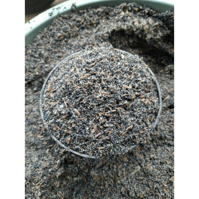 Media Tanam Kaktus / Untuk Semua Jenis Kaktus