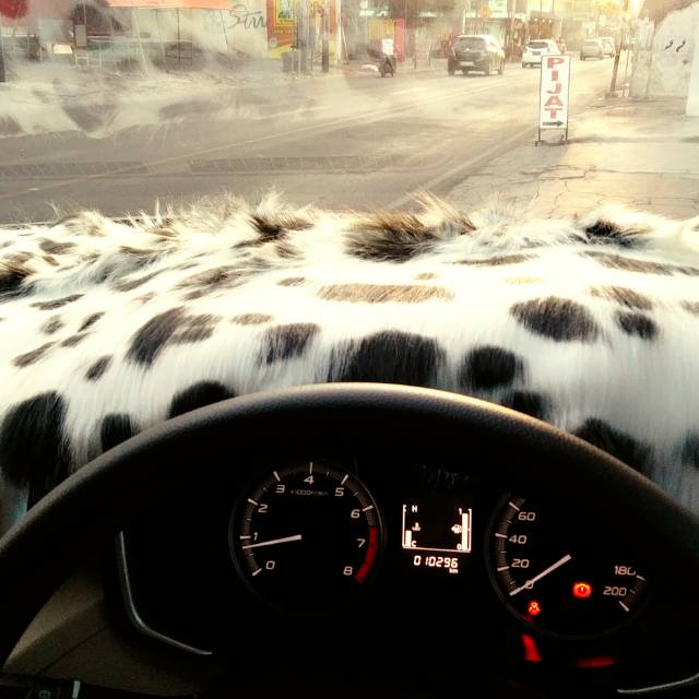 Karpet bulu dashboard mobil motif moo(kulit sapi)
