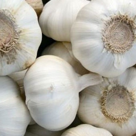 

Bawang Putih Kaiting 500 gr