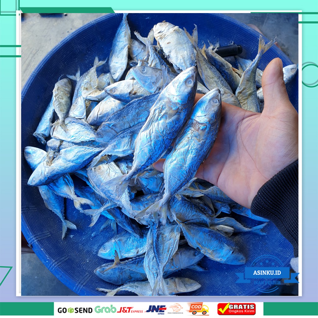 

IKAN GEMBUNG PEDA 1KG | IKAN ASIN GEMBUNG | IKAN PEDA 1 KG | IKAN ASIN PALING MURAH