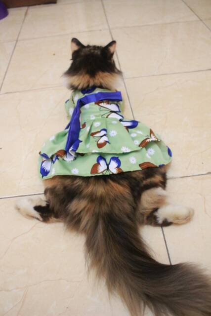 Dress hanbok kupu-kupu hijau lucu untuk kucing dan anjing size S M L XL