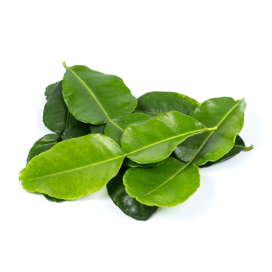 

Daun Jeruk / 100gr