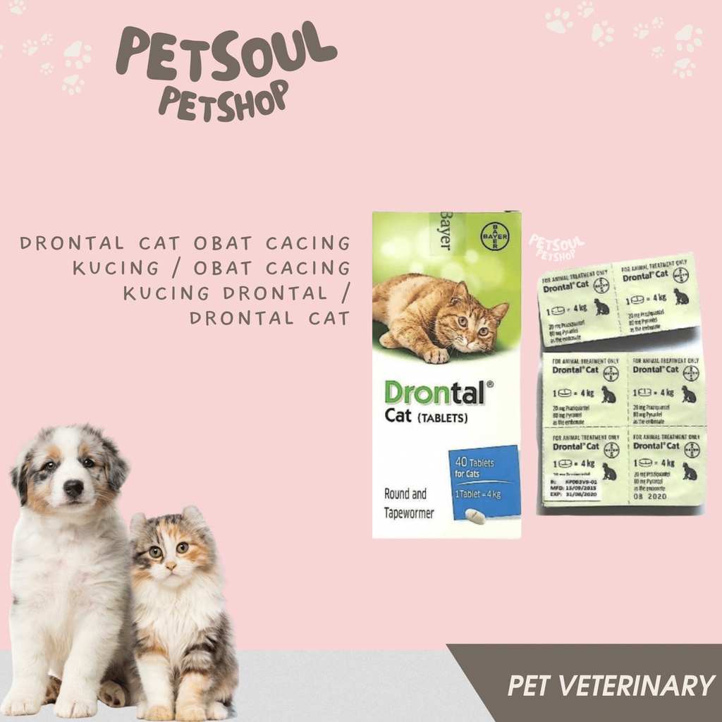 Drontal Cat Obat Cacing Kucing / Obat Cacing Kucing Drontal / Drontal Cat