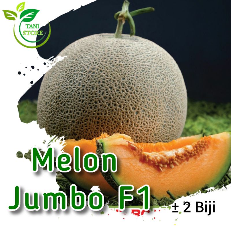 ±2 biji benih melon jumbo F1_bibit melon jumbo