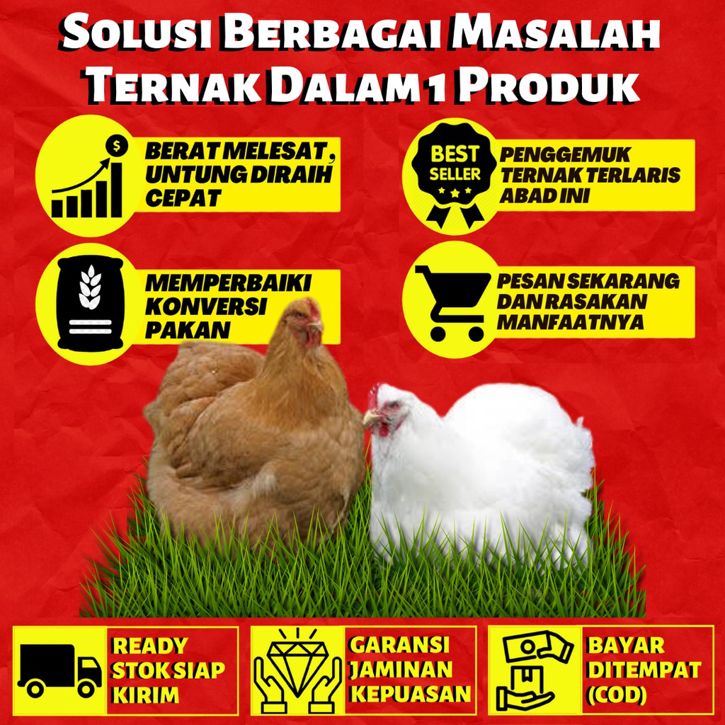 62 Gambar Hewan Ternak Unggas Gratis Terbaik