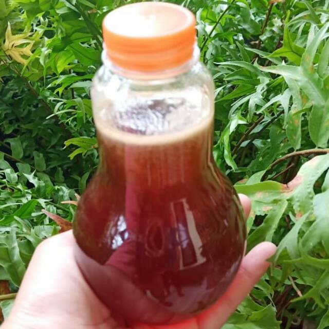 

(400 gram) Madu murni/Raw Honey