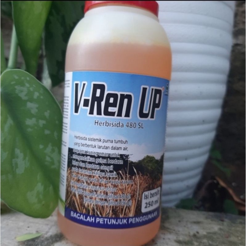 V Rent Up 250ml Herbisida 480 SL Pembasmi Rumput Liar